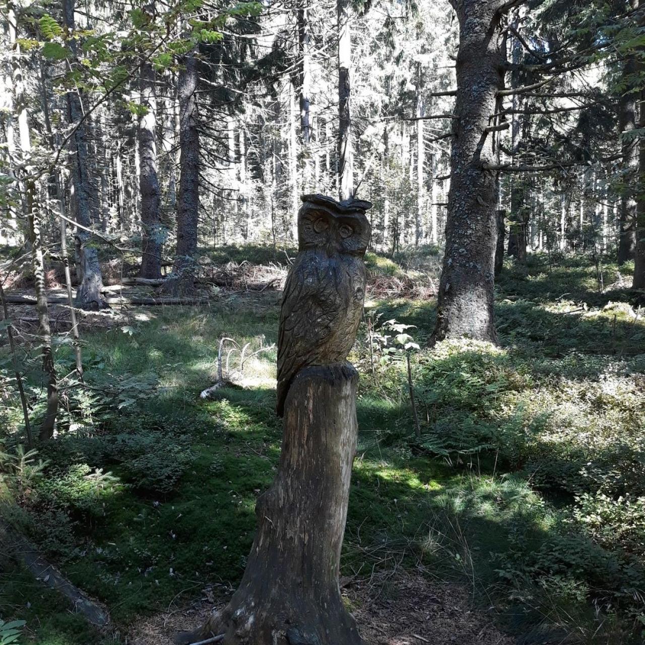 Zauberwald